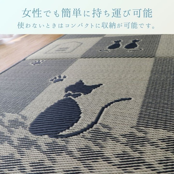 ҥ  ʪ  Ծͥ  82164cm   1 ѥ Ǽ  ITNK82164 1040190010313  Բġ̳ۡƻΥԲġ--