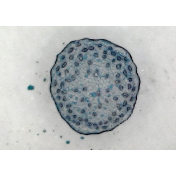 ARTEC �����ƥå� USB�ޥ������������� ���ʶ��������� 91648 �ڥ���󥻥��Բġ��̳�ƻ����Υ�������Բġ�-��������-