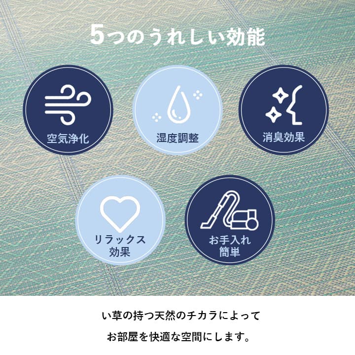 �����ҥ� ����饰 ��������������ƥꥢ�����š����ѡ��ä�����������졡�������� ����Ĵ�� �ý����� ���������ñ �֥롼 ��120��180cm 1061950042504��������Բġۡ��̳�ƻ����Υ��������Բġ�-��������-