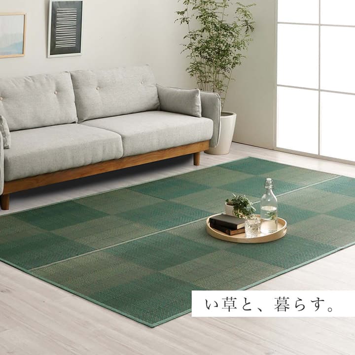 �����ҥ� ����饰 �֤��� �����ڥå� �ʻ��� �ʥ����� ����ץ� �¼� �����ɽ� �ý� ���������ñ �Ʋ�Ŭ���餵�� �ܴ�6�� (��286��382cm�˥֥饦�� 1031280061302��������Բġۡ��̳�ƻ����Υ��������Բġ�-��������-