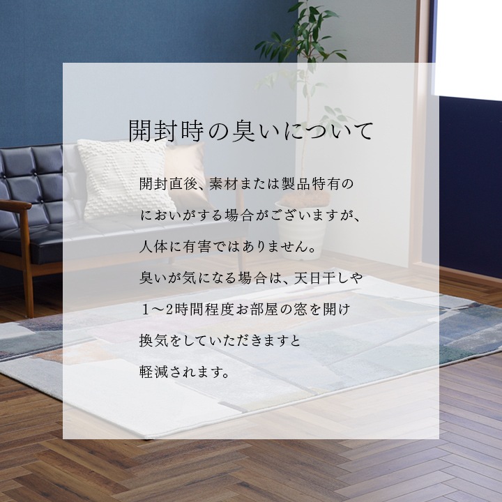 �����ҥ� �����ڥå� �ǥ�����饰 ������ȥ󥫡��ڥå� Ĺ���� ������� ������ơ���Ĵ ��240��330cm 1321600010901��������Բġۡ��̳�ƻ����Υ��������Բġ�-��������-