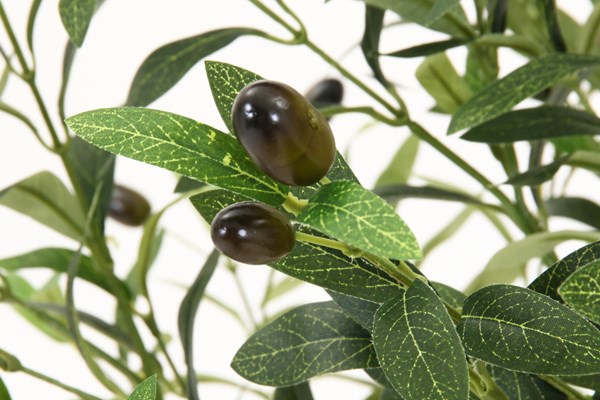 �����ǰ� �ե��������꡼�� ���꡼�� 180cm ���祤��� FB-807021A ���ʥ�����41122��������������ꎥ����󥻥��ԲĎ��̳�ƻ����Υ�������Բġ�  -������-