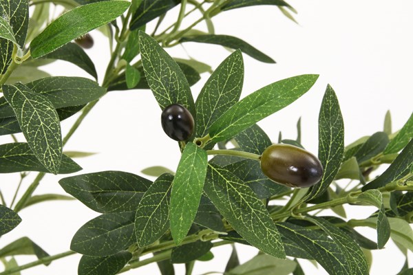 �����ǰ� �ե��������꡼�� ���꡼�� 180cm ���祤��� FB-807021A ���ʥ�����41122��������������ꎥ����󥻥��ԲĎ��̳�ƻ����Υ�������Բġ�  -������-