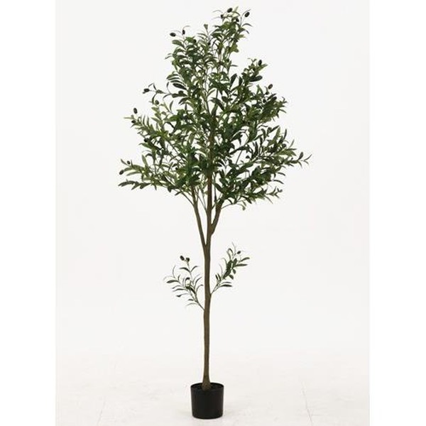 �����ǰ� �ե��������꡼�� ���꡼�� 180cm ���祤��� FB-807021A ���ʥ�����41122��������������ꎥ����󥻥��ԲĎ��̳�ƻ����Υ�������Բġ�  -������-