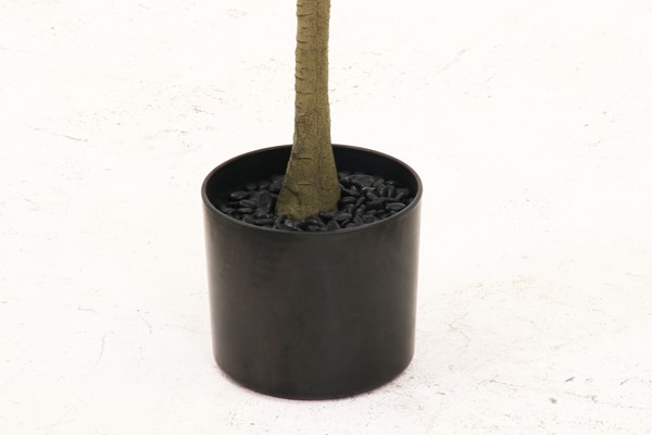 �����ǰ� �ե��������꡼�� ���꡼�� 180cm ���祤��� FB-807021A ���ʥ�����41122��������������ꎥ����󥻥��ԲĎ��̳�ƻ����Υ�������Բġ�  -������-