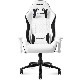 ƥߥ󥰥 AKRacing Pinon Gaming Chair White ۥ磻 4549584344583-ds ᡼ľꡦ󥻥Բġ̳ƻΥԲġ