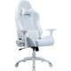 AKRacing ゲーミングチェア 本田翼監修オリジナルカラーモデル ハイタイプ AKR-TSUBASA/HONDA/HIGH ホワイト×ブルーグレー リクライニング アームレスト昇降 【代引・日時指定・キャンセル不可・北海道沖縄離島配送不可】 -お取り寄せ-