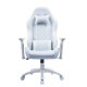 AKRacing ゲーミングチェア 本田翼監修オリジナルカラーモデル ハイタイプ AKR-TSUBASA/HONDA/HIGH ホワイト×ブルーグレー リクライニング アームレスト昇降 【代引・日時指定・キャンセル不可・北海道沖縄離島配送不可】 -お取り寄せ-