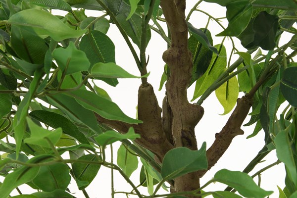 不二貿易 フェイクグリーン フィカス 160cm ジョイント FB-807025A 商品コード41123【代引・日時指定・キャンセル不可・北海道沖縄離島配送不可】 -お取リ寄せ-