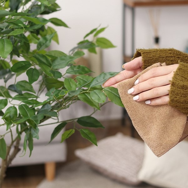 不二貿易 フェイクグリーン フィカス 160cm ジョイント FB-807025A 商品コード41123【代引・日時指定・キャンセル不可・北海道沖縄離島配送不可】 -お取リ寄せ-