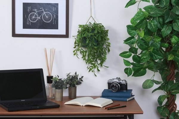 �����ǰ� �ե��������꡼�� �����㥯�䥷 �ϥ󥮥� FB-3091623 ���ʥ�����41124��������������ꎥ����󥻥��ԲĎ��̳�ƻ����Υ�������Բġ�  -������-