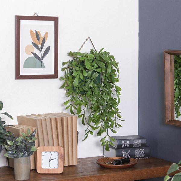 �����ǰ� �ե��������꡼�� �����㥯�䥷 �ϥ󥮥� FB-3091623 ���ʥ�����41124��������������ꎥ����󥻥��ԲĎ��̳�ƻ����Υ�������Բġ�  -������-