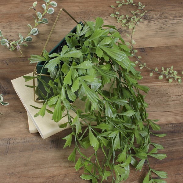 �����ǰ� �ե��������꡼�� �����㥯�䥷 �ϥ󥮥� FB-3091623 ���ʥ�����41124��������������ꎥ����󥻥��ԲĎ��̳�ƻ����Υ�������Բġ�  -������-