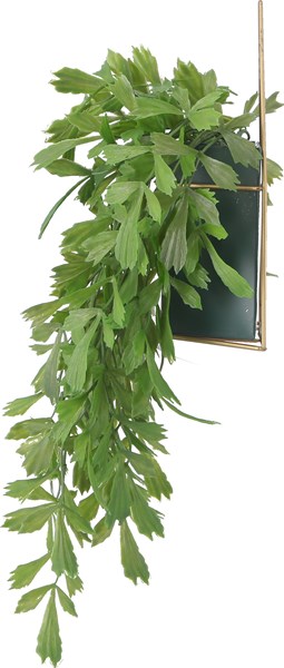 �����ǰ� �ե��������꡼�� �����㥯�䥷 �ϥ󥮥� FB-3091623 ���ʥ�����41124��������������ꎥ����󥻥��ԲĎ��̳�ƻ����Υ�������Բġ�  -������-