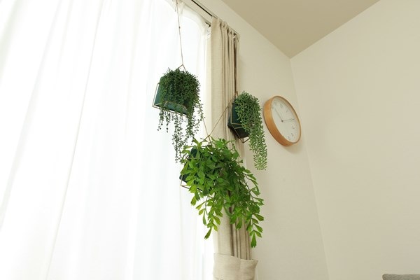 �����ǰ� �ե��������꡼�� �����㥯�䥷 �ϥ󥮥� FB-3091623 ���ʥ�����41124��������������ꎥ����󥻥��ԲĎ��̳�ƻ����Υ�������Բġ�  -������-