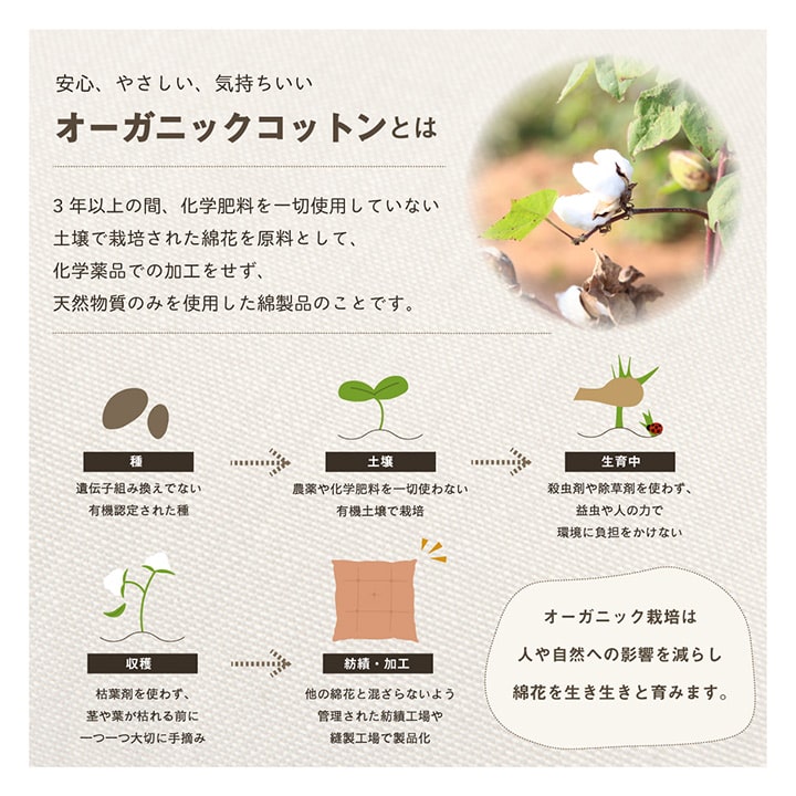 イケヒコ クッション シート 椅子 日本製 オーガニックコットン 綿100% 無地 洗える ピンク 約40×40cm 2枚組 1210250220203【代引き不可】【北海道沖縄離島は配送不可】-お取り寄せ品-