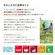 イケヒコ クッション シート 椅子 日本製 オーガニックコットン 綿100% 無地 洗える ピンク 約40×40cm 2枚組 1210250220203【代引き不可】【北海道沖縄離島は配送不可】-お取り寄せ品-