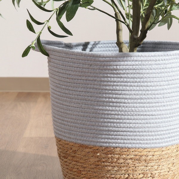 �����ǰ� ȭ���С� ���åȥ󡿥��� 10�� GY 1��Ȣ ���ʥ�����45386 ��������������ꎥ����󥻥��ԲĎ��̳�ƻ����Υ�������Բġ� -������-