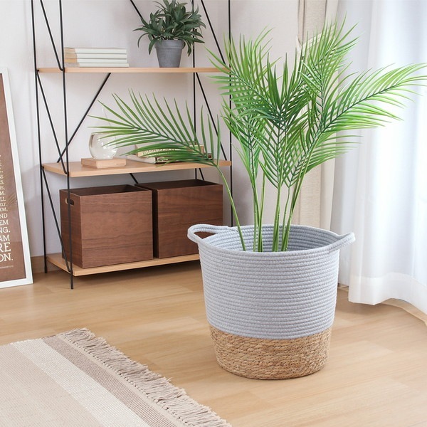 �����ǰ� ȭ���С� ���åȥ󡿥��� 10�� GY 1��Ȣ ���ʥ�����45386 ��������������ꎥ����󥻥��ԲĎ��̳�ƻ����Υ�������Բġ� -������-