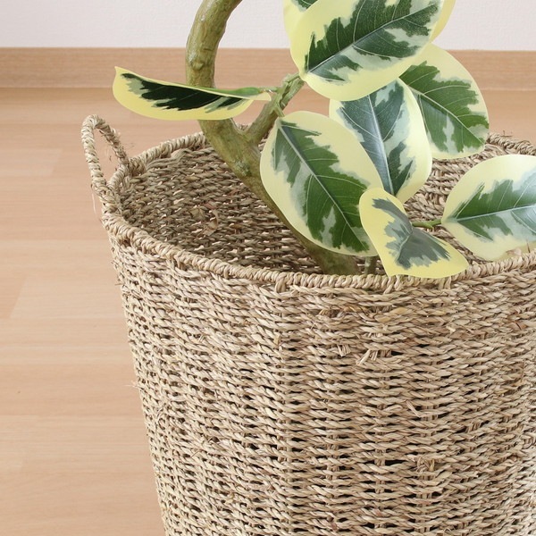 �����ǰ� ȭ���С� ���� 10�� 1��Ȣ ���ʥ�����45388 ��������������ꎥ����󥻥��ԲĎ��̳�ƻ����Υ�������Բġ� -������-