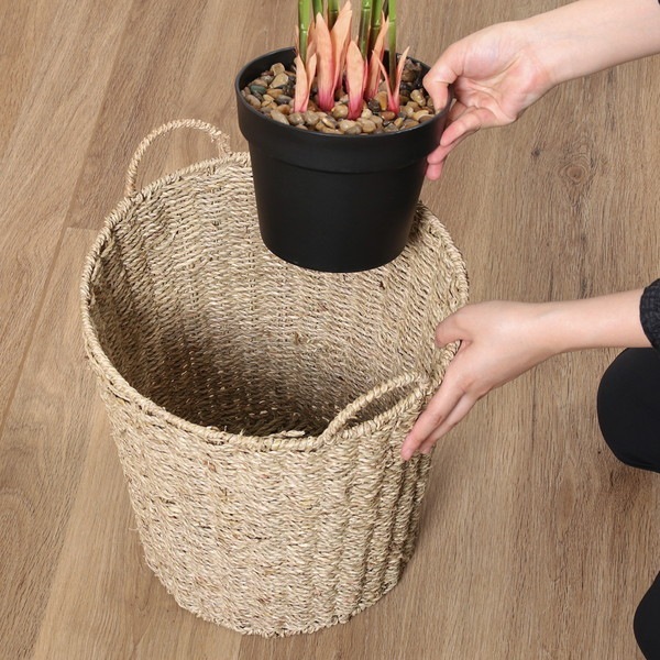 �����ǰ� ȭ���С� ���� 10�� 1��Ȣ ���ʥ�����45388 ��������������ꎥ����󥻥��ԲĎ��̳�ƻ����Υ�������Բġ� -������-