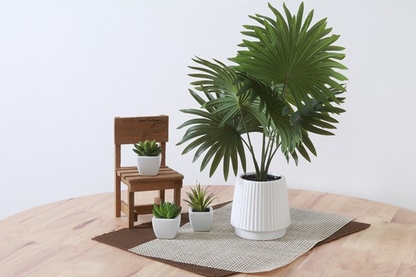 不二貿易 フェイクグリーン パナマソウ セラミックポット FB-370715 商品コード41129【代引・日時指定・キャンセル不可・北海道沖縄離島配送不可】 -お取リ寄せ-