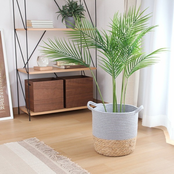 �����ǰ� ȭ���С� ���åȥ󡿥��� 7�� GY 1��Ȣ ���ʥ�����45393 ��������������ꎥ����󥻥��ԲĎ��̳�ƻ����Υ�������Բġ� -������-