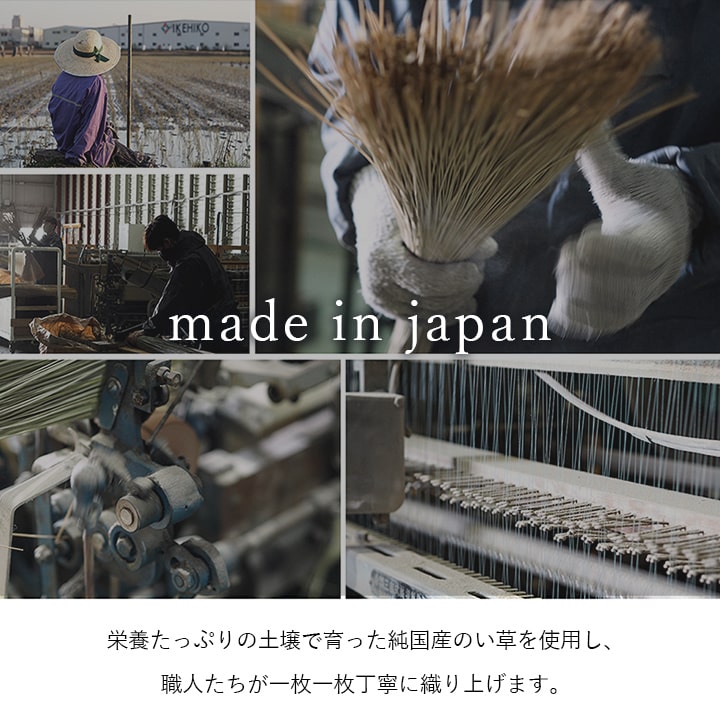 �����ҥ� �� ����饰 �����ڥå� �֥��å�Ĵ ������� �������� ����ץ� ���å������ �饤�ȥ��졼 ��191��191cm 1050980303604��������Բġۡ��̳�ƻ����Υ��������Բġ�-��������-
