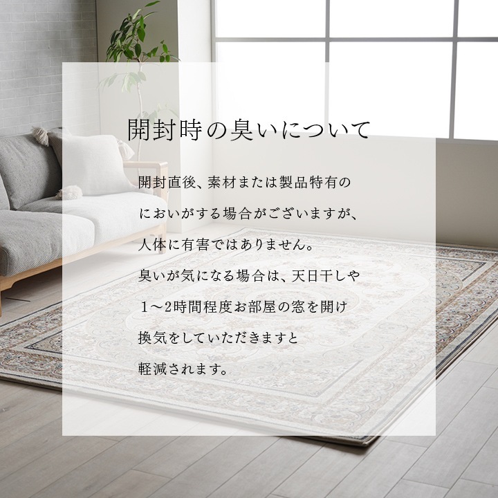 �����ҥ� �����ڥå� �ǥ�����饰 ������ȥ󥫡��ڥå� ���饷�å��� ���饰  ������ ��200��300cm 1321580250701��������Բġۡ��̳�ƻ����Υ��������Բġ�-��������-