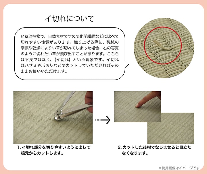 �����ҥ� �饰 �������� ��³�����ݺ� KOBA-GUARD ���� �����ɽ�  ���ߤ� �Կ��� �� ���� ����ǡ������ �֥饦�� ��190��190cm 1060470063504��������Բġۡ��̳�ƻ����Υ��������Բġ�-��������-