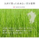 �����ҥ� �������ᡡ��������鴶�����إޥå� ���� ������졡���� �ޥå� ����饰 ������ �����ɽ� �� ���ߤᤤ�������١����塡��70��120cm 1081980024704��������Բġۡ��̳�ƻ����Υ��������Բġ�-��������-