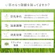 �����ҥ� �������ᡡ��������鴶�����إޥå� ���� ������졡���� �ޥå� ����饰 ������ �����ɽ� �� ���ߤᤤ�������١����塡��70��120cm 1081980024704��������Բġۡ��̳�ƻ����Υ��������Բġ�-��������-