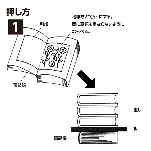 ARTEC �����ƥå� �����֥��å� �޹���������׎̎Ď��Ύˎގ� 2218 �ڥ���󥻥��Բġ��̳�ƻ����Υ�������Բġ�-��������-