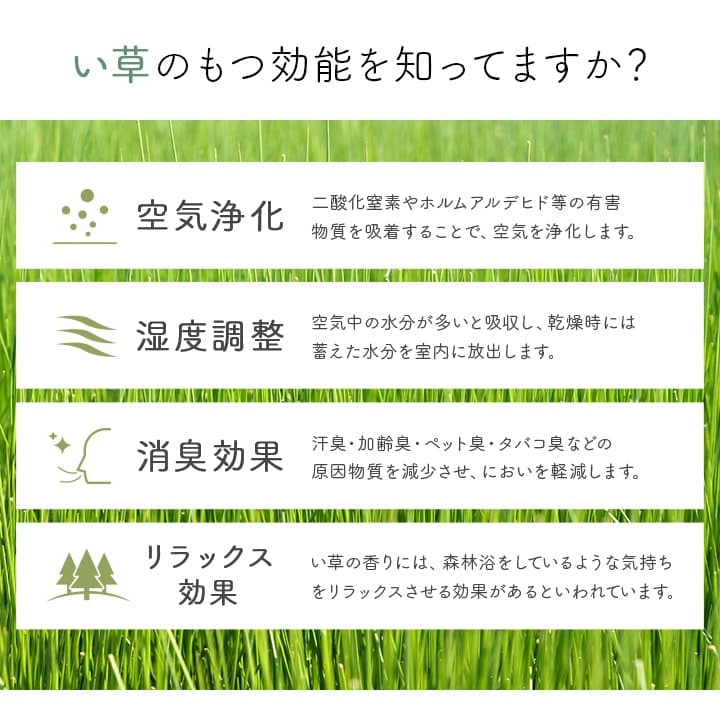 �����ҥ� �������ᡡ��������鴶�����إޥå� ���� ������졡���� �ޥå� ����饰 ������ �����ɽ� �� ���ߤᤤ�������֥�å�����70��120cm 1081980034704��������Բġۡ��̳�ƻ����Υ��������Բġ�-��������-