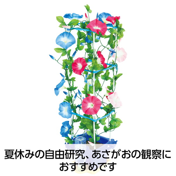 4521718931531 ARTEC アーテック あさがお栽培セット 栽培 家庭菜園