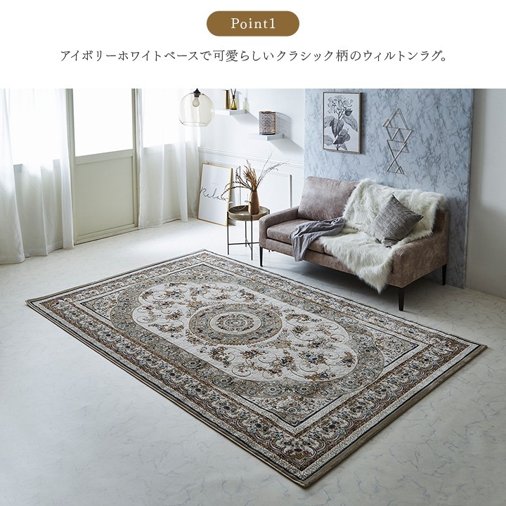 �����ҥ� �����ڥå� �ǥ�����饰 ������ȥ󥫡��ڥå� ���饷�å��� ���饰  ������ ��240��330cm 1321580250901��������Բġۡ��̳�ƻ����Υ��������Բġ�-��������-