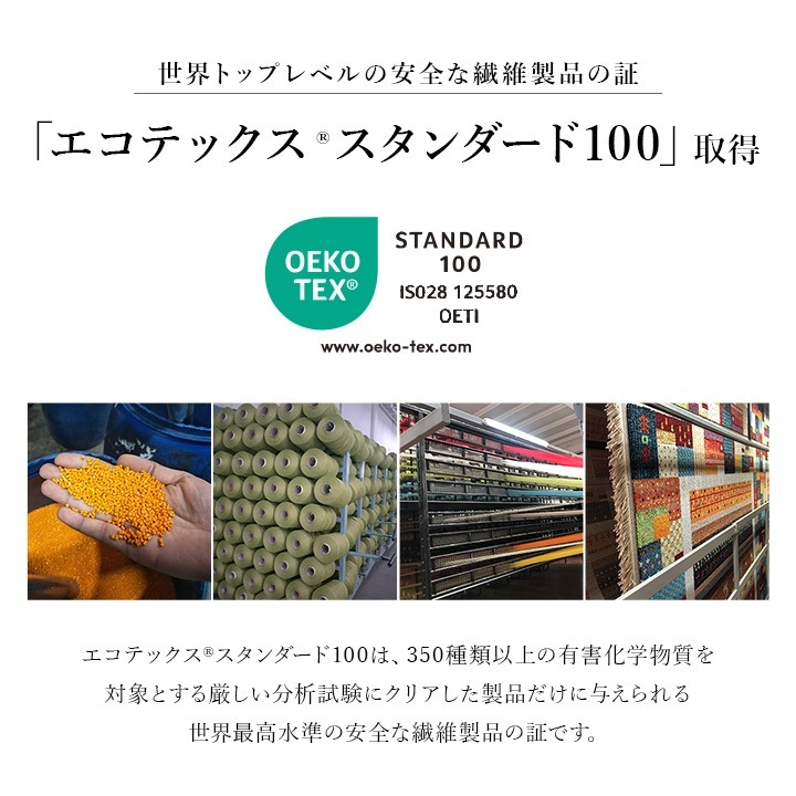 �����ҥ� �����ڥå� �ǥ�����饰 ������ȥ󥫡��ڥå� ���饷�å��� ���饰  ������ ��240��330cm 1321580250901��������Բġۡ��̳�ƻ����Υ��������Բġ�-��������-