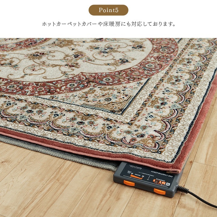 �����ҥ� �����ڥå� �ǥ�����饰 ������ȥ󥫡��ڥå� ���饷�å��� ���饰  �롼��ޥå� �饰�ޥå� �١����� ��80��140cm 1321580020101��������Բġۡ��̳�ƻ����Υ��������Բġ�-��������-