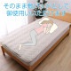 �����ҥ� ���� �����륷������ ��Ŭ��̲ �٥åɥѥå� ������ �����ץ롼�� ���� �ý� �����ʪ������ ������OK �Ͷ�����Х���դ� ����ˤ��� ���󥰥� 100��200cm 1192030370101��������Բġۡ��̳�ƻ����Υ��������Բġ�-��������-