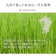 �����ҥ� ���إޥå� ���� ������� �ޥå� ����饰 ������ �����ɽ� ������ ���ߤ� ���쥿��  ������ �饰�ޥåȡ��̲�Ĵ���������ᡡ�磻����60��90cm 1081990284604��������Բġۡ��̳�ƻ����Υ��������Բġ�-��������-