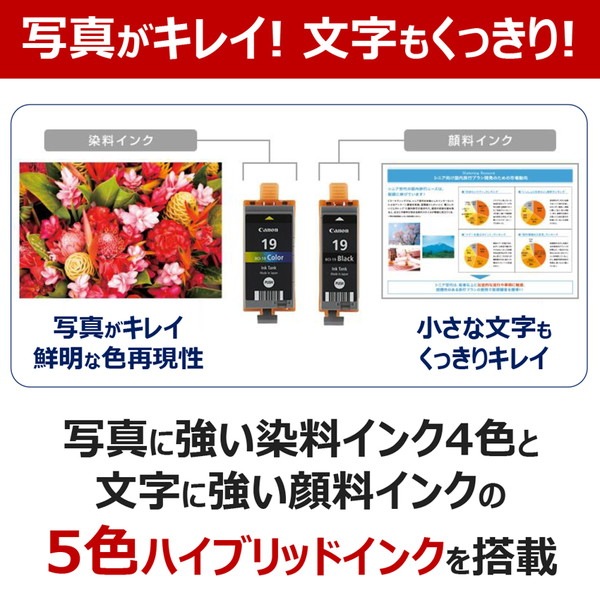 Canon ���󥯥����åȥץ�󥿡� TR163 ����ѥ��ȥ�Х���ץ�󥿡� �֥�å� ����Υ� �ڥ���󥻥��Բġ��̳�ƻ����Υ�������Բġ� -������-