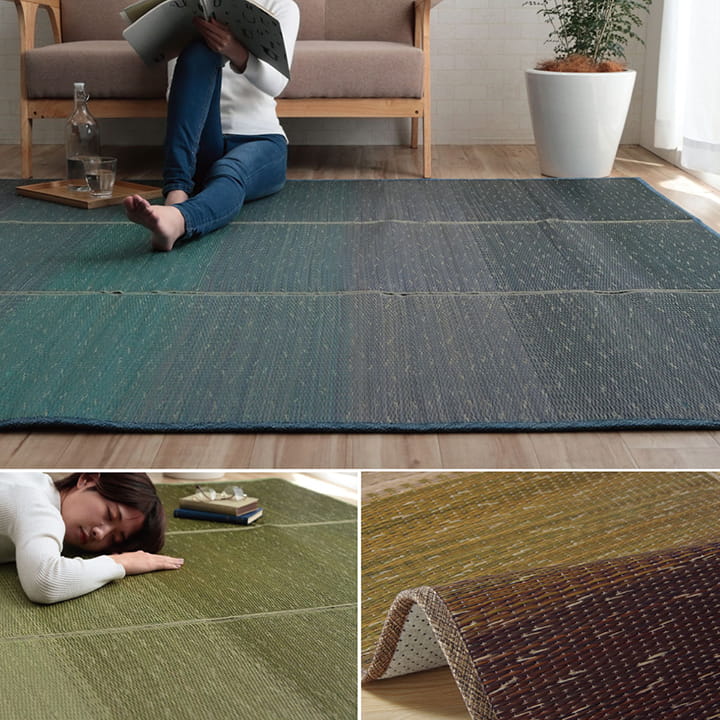 �����ҥ� �饰 �������� ��³�����ݺ� KOBA-GUARD ���� �����ɽ�  ���ߤ� �Կ��� �� ���� ����ǡ������ �֥饦�� ��190��250cm 1060470064204��������Բġۡ��̳�ƻ����Υ��������Բġ�-��������-