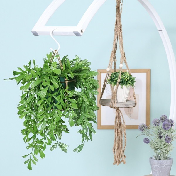 �����ǰ� �ǥ����ץ쥤��å� �ϡ��ȷ�KD WH ���ʥ�����63758 ��������������ꎥ����󥻥��ԲĎ��̳�ƻ����Υ�������Բġ� -������-