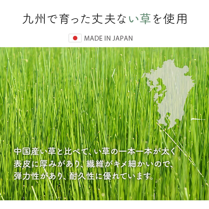 �����ҥ� ���إޥå� ���� ������� �ޥå� ����饰 ������ �����ɽ� ������ ���ߤ� ���쥿��  ������ �饰�ޥåȡ��̲�Ĵ���������ᡡ�磻����70��120cm 1081990284704��������Բġۡ��̳�ƻ����Υ��������Բġ�-��������-