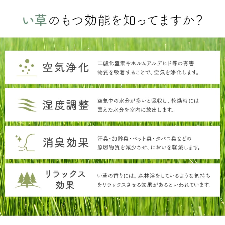 �����ҥ� ���إޥå� ���� ������� �ޥå� ����饰 ������ �����ɽ� ������ ���ߤ� ���쥿��  ������ �饰�ޥåȡ��̲�Ĵ���������ᡡ�磻����70��120cm 1081990284704��������Բġۡ��̳�ƻ����Υ��������Բġ�-��������-