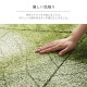 �����ҥ� ������ ���� ������ �� �����ڥå� ���� ���ݥ��ץ졼�б� �ߵ� �饰 ��ʪ �����ȥɥ� �쥸�㡼 �ڥå� �١����� �ܴ�4.5������286.5��286cm�� 1090580021802��������Բġۡ��̳�ƻ����Υ��������Բġ�-��������-