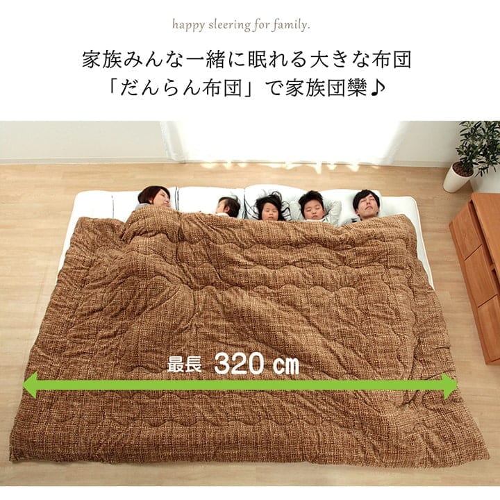 �����ҥ� �ݤ� ���� �ե��ߥ꡼ �б� ���ä��� ������ ̵�� Ĵ �Ρ��ȥ֥饦�� ��190��240cm 3�� �� 1181561060286��������Բġۡ��̳�ƻ����Υ��������Բġ�-��������-