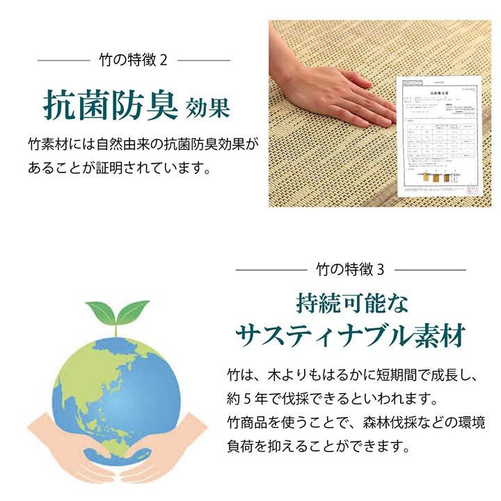 �����ҥ� �饰 �Х�֡� �� �����ڥå� ��ʪ �� �����Ǻ� ������� �����ɽ� �ͥ��ӡ� ��180��240cm 1100160194601��������Բġۡ��̳�ƻ����Υ��������Բġ�-��������-