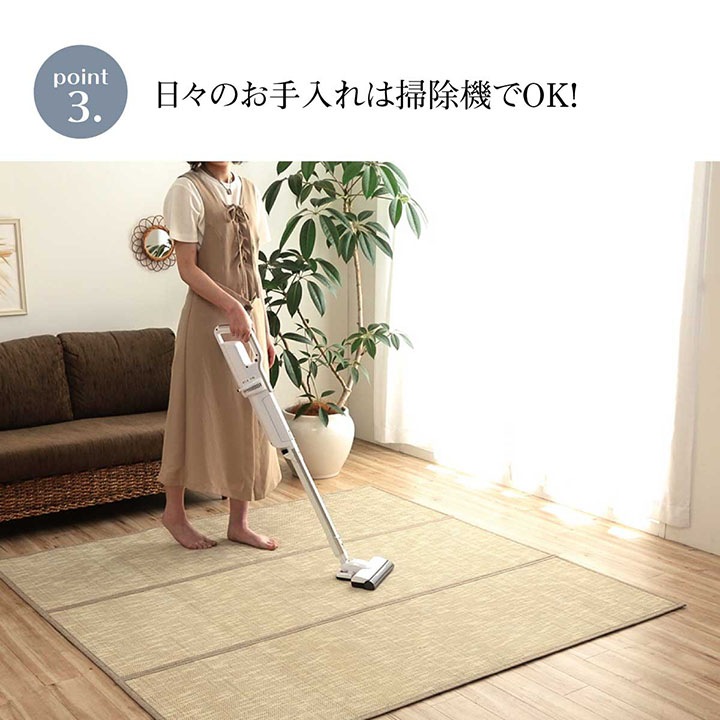 �����ҥ� �饰 �Х�֡� �� �����ڥå� ��ʪ �� �����Ǻ� ������� �����ɽ� �ͥ��ӡ� ��180��240cm 1100160194601��������Բġۡ��̳�ƻ����Υ��������Բġ�-��������-