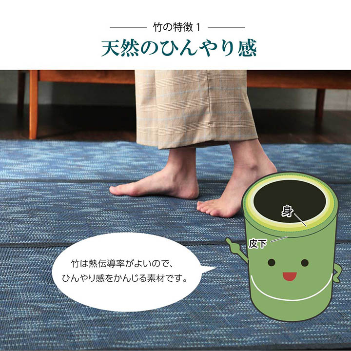 �����ҥ� �饰 �Х�֡� �� �����ڥå� ��ʪ �� �����Ǻ� ������� �����ɽ� �ͥ��ӡ� ��180��240cm 1100160194601��������Բġۡ��̳�ƻ����Υ��������Բġ�-��������-